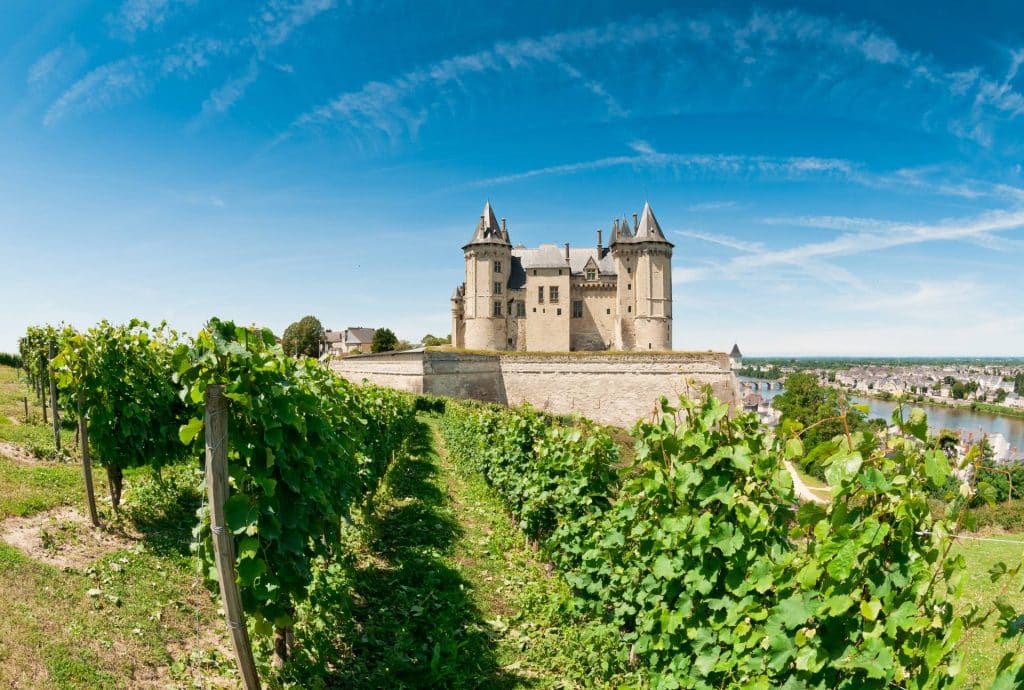 Parc De Fierbois : Adobestock 145271565 (1)